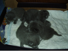 PC200058.JPG
