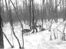 19.04.2010 23:50:27