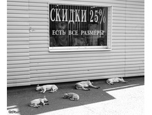 21.04.2010 10:15:38
