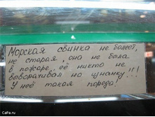 21.04.2010 10:17:09