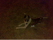 21.04.2010 11:26:20