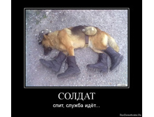 1330416039-soldat.jpg