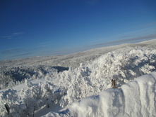 IMG_0264.jpg
