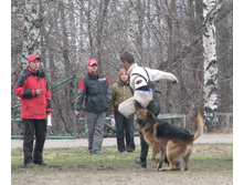 22.04.2010 0:20:50