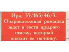 22.04.2010 15:26:11