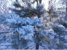 DSCN0867.JPG