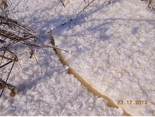 DSCN0878.JPG