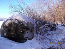 DSCN0890.JPG