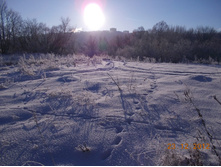 DSCN0892.JPG
