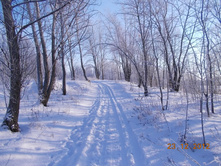 DSCN0894.JPG