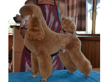 DSC_0923.jpg
