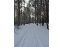 37-IMG_0290.JPG