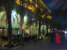 DSC08748.JPG