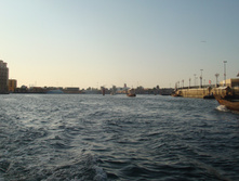 DSC08757.JPG