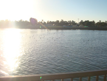 DSC08891.JPG