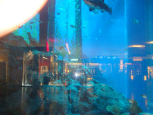 DSC08979.JPG