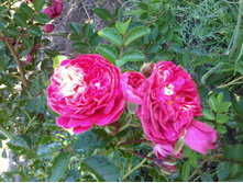 ����-0017.jpg