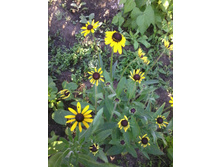 ����-0019.jpg