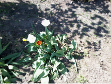 ����-0077.jpg