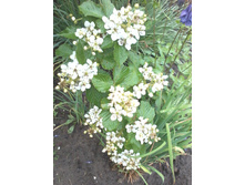����-0101.jpg