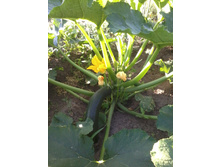 ����-0015.jpg