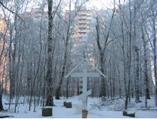 IMG_7650.jpg
