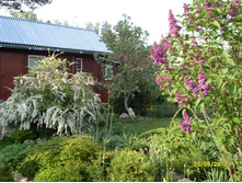 SDC17658.JPG
