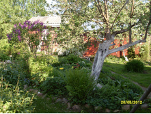SDC17673.JPG