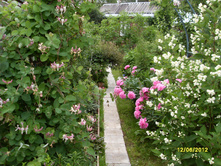 SDC17714.JPG