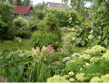 SDC17781.JPG
