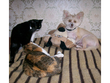 ���ϣ� 2012.JPG
