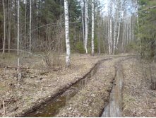 25.04.2010 12:15:52