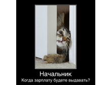 ���.jpg