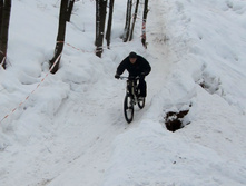 IMG_2033_1.jpg