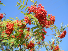 DSCN2582.JPG