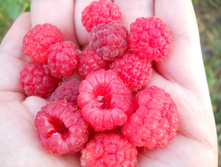 DSCN2620.JPG