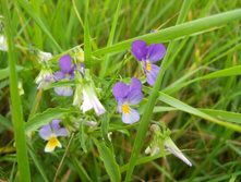 DSCN3326.JPG