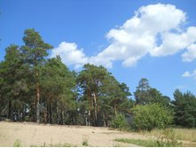 DSCN3569.JPG