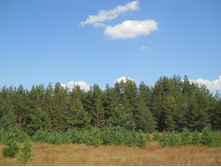 DSCN3577.JPG