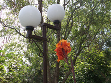DSCF2751.jpg