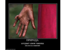26.04.2010 13:54:41
