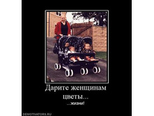 26.04.2010 13:54:46