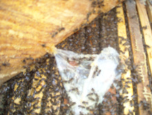 DSCN2355.JPG