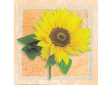 27.04.2010 1:03:33