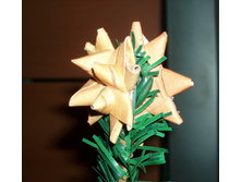 PC263268.JPG