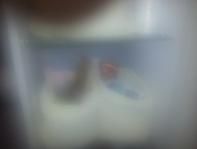 20121226_072456.jpg