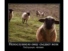 29.04.2010 10:04:36