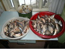 2012-03-11-026.jpg