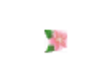 favicon_present.png