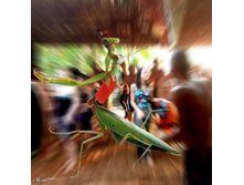 30.04.2010 8:42:54